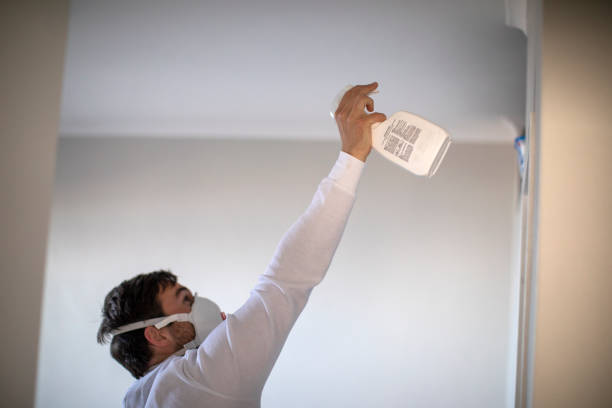 Best Mold Removal Near Me  in New Castle, DE