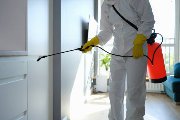Best Same-Day Mold Removal  in New Castle, DE