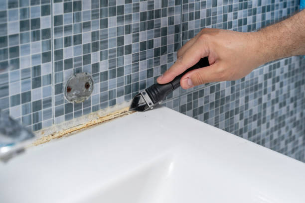 Office Mold Removal Services in New Castle, DE