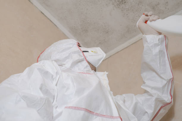 Best Office Mold Removal Services  in New Castle, DE
