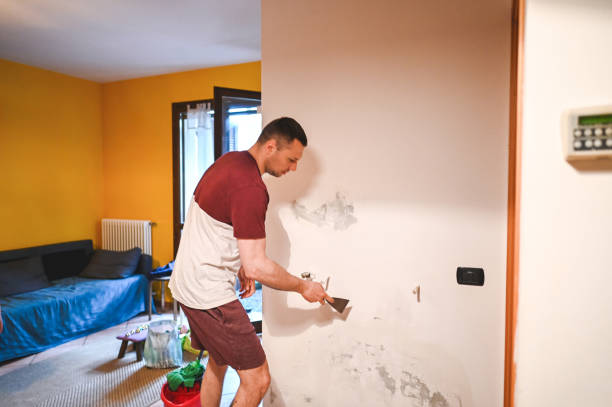 Best Mold Remediation Services  in New Castle, DE